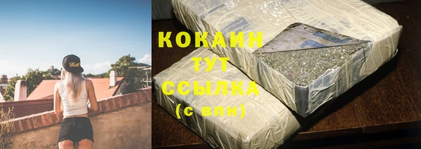 шишки Абаза
