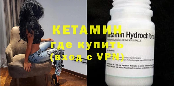 шишки Абаза