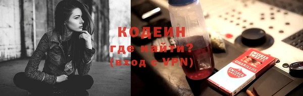 шишки Абаза