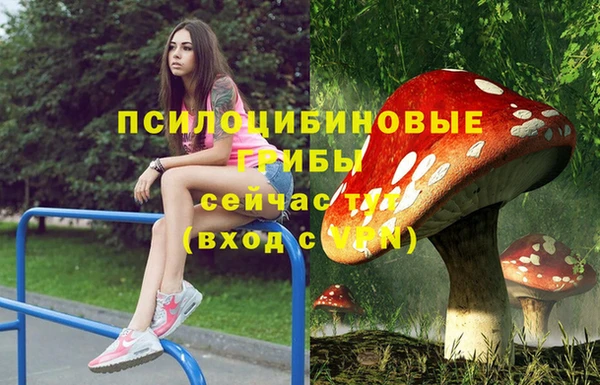 таблы Алексин