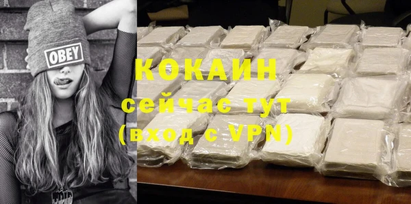 шишки Абаза