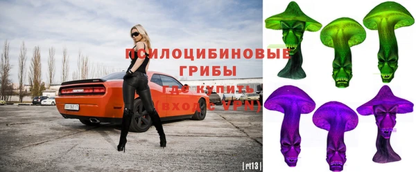 шишки Абаза