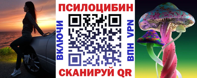 Псилоцибиновые грибы MAGIC MUSHROOMS  где можно купить   Тетюши 